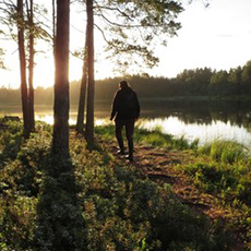 En man som går längst vattnet i skogen. Foto: Pressbild En man som går längst vattnet i skogen. Foto: Pressbild