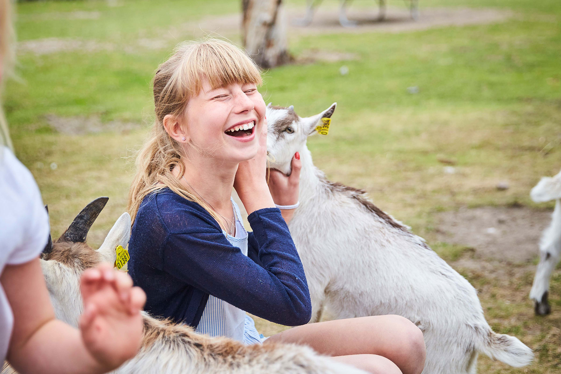 Ett barn ler stort när hon blir uppvaktad av getterna på Kungsbynd Djurpark i Västerås. Fotograf: Pia Nordlander