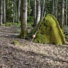 En utplacerad kontroll vid en stor sten i skogen på Björnö Västerås. Fotograf: Lennart Karlen En utplacerad kontroll vid en stor sten i skogen på Björnö Västerås. Fotograf: Lennart Karlen