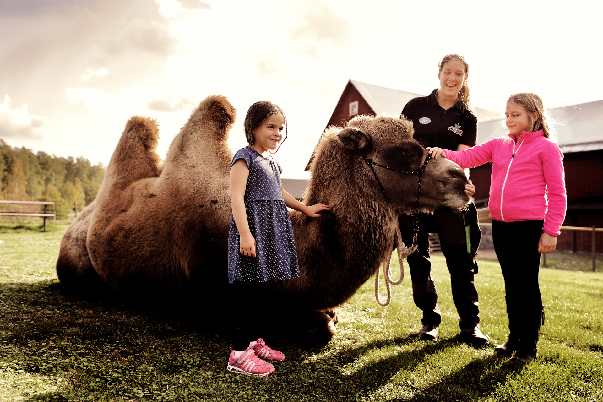 Två barn klappar en kamel på Kungsbyn. Foto: Pressbild