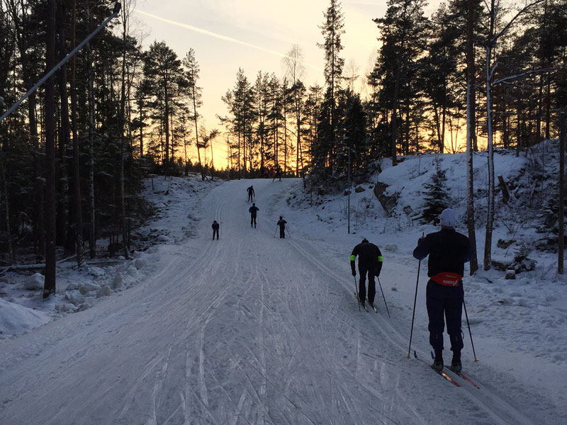 Skidåkare i spåret på Björnön. Foto: Aktivt uteliv Skidåkare i spåret på Björnön. Foto: Aktivt uteliv