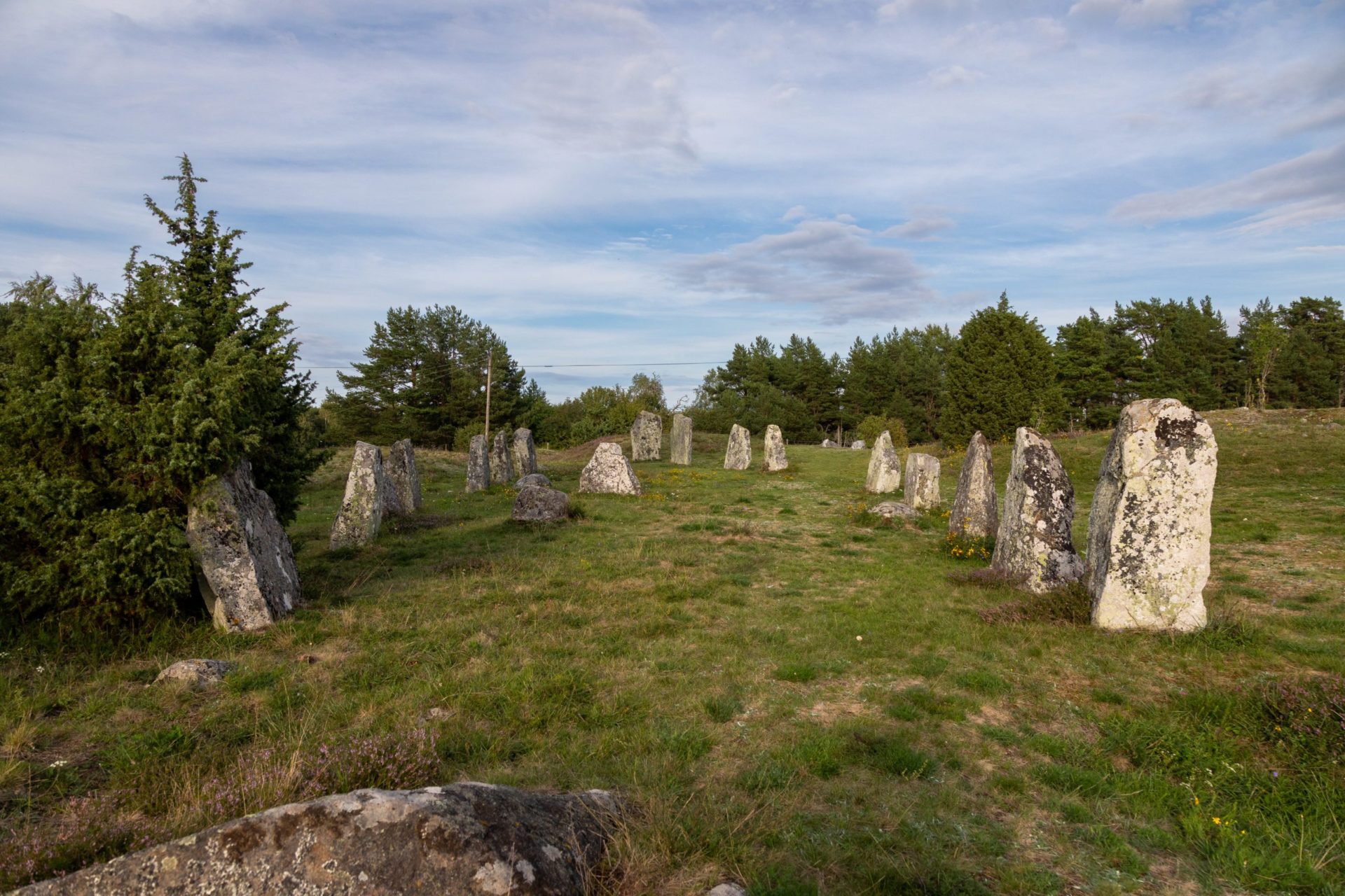 Stenar i en skeppsliknande formation på en äng med träd i bakgrunden. Stenar i en skeppsliknande formation på en äng med träd i bakgrunden.