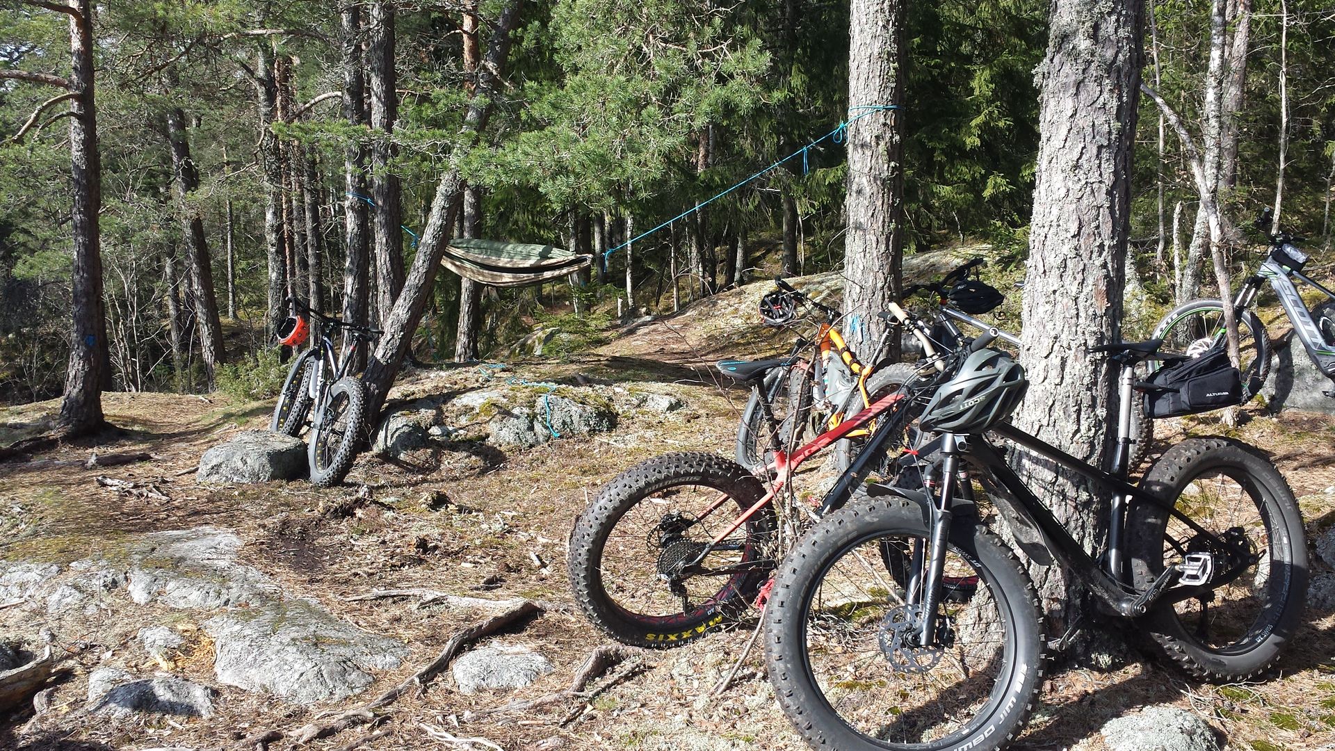 Cyklar liggandes mot träd med hängmatta. Fotograf: Pressbild kungsörstorp