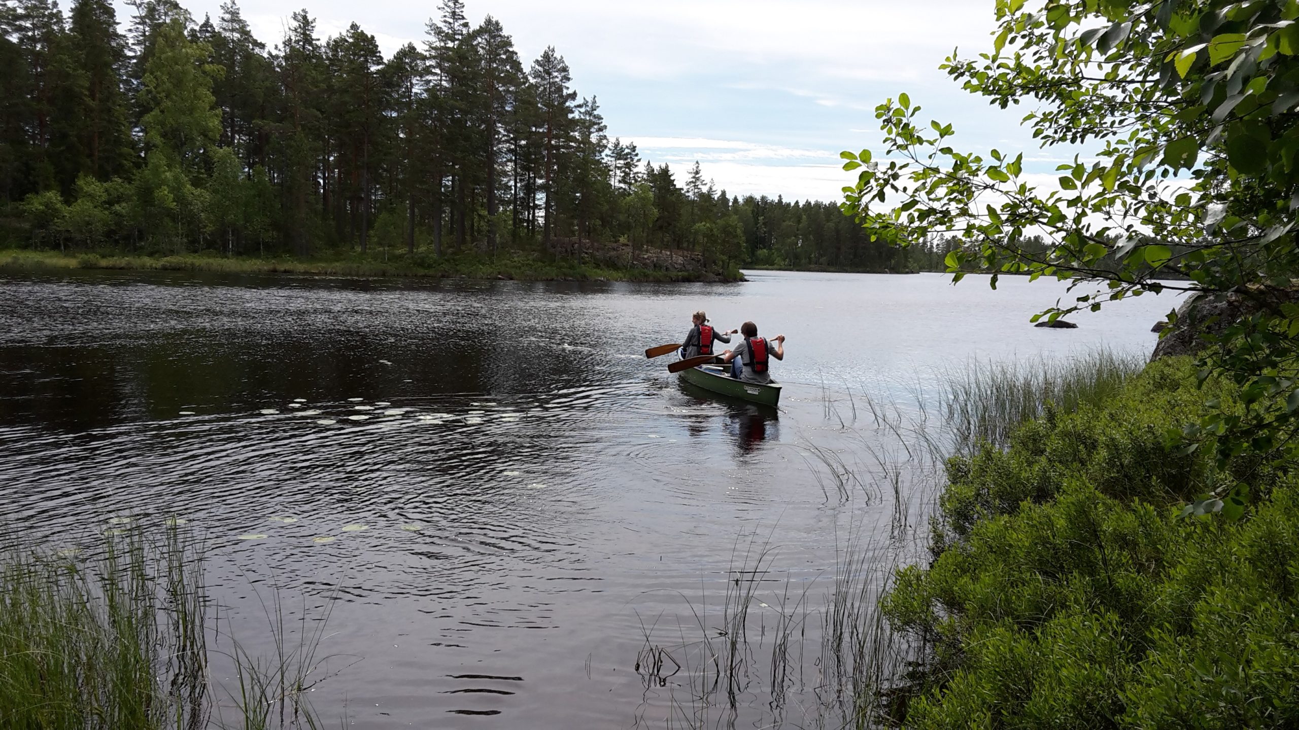 Två personer paddlar på sjön