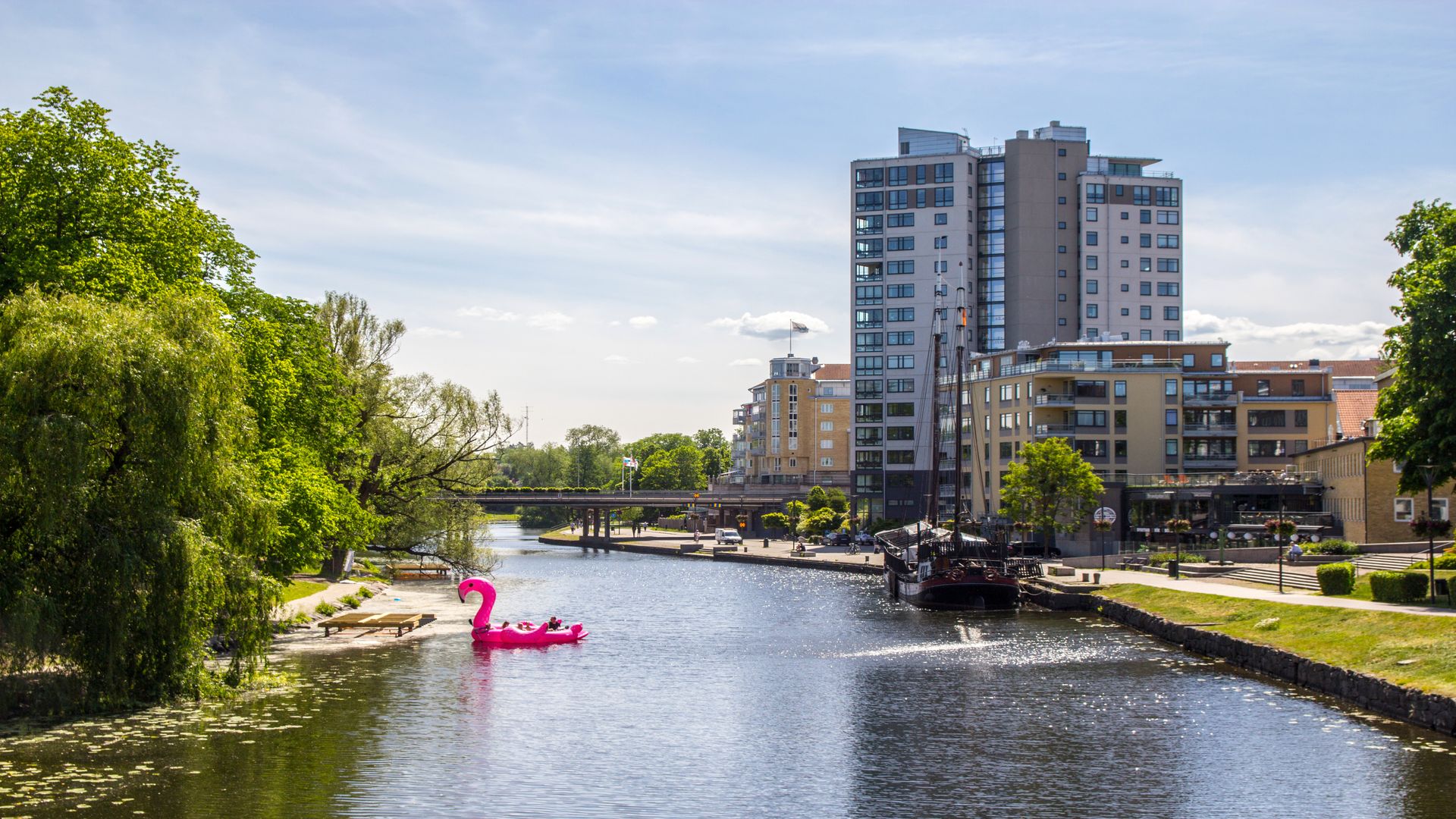 Vy över en å med en flamingo i blickfånget. Fotograf: Pressbild Linköping