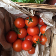 Tomater som ligger i en korg. Foto: Ann-Cristin Hermansson