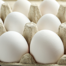 Vita ägg i en äggkartong. Foto: Mostphotos
