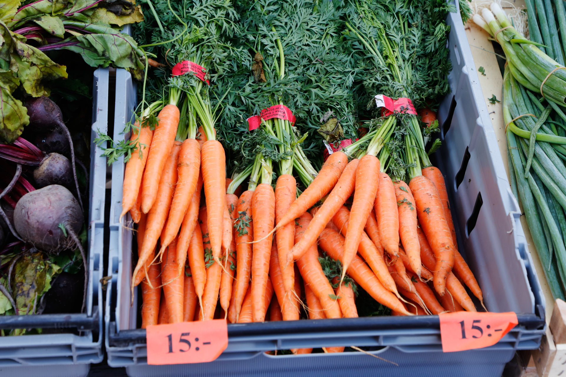 Rödbetor, morötter och salladslök till försäljning i plastbackar. Foto: Mostphotos