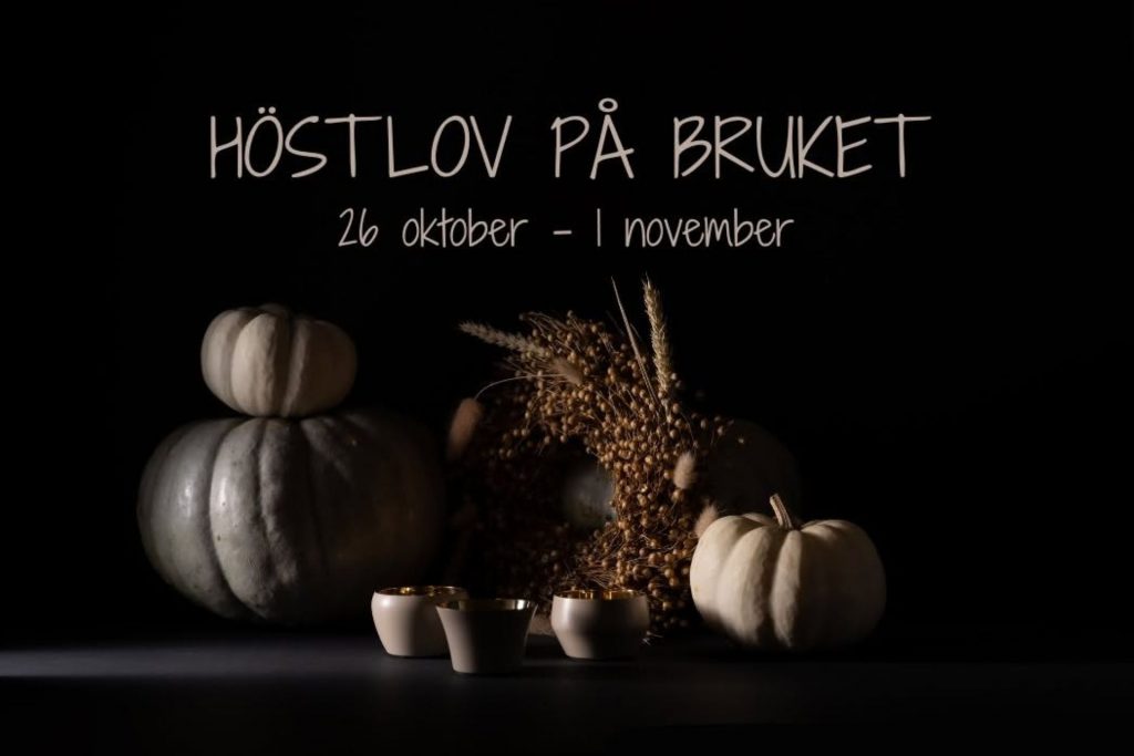 Pressbild för Höstlov på Bruket.