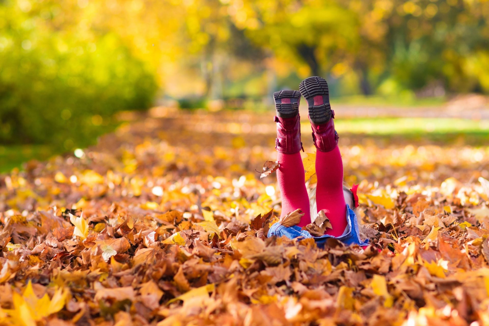 Barn som leker i höstlov