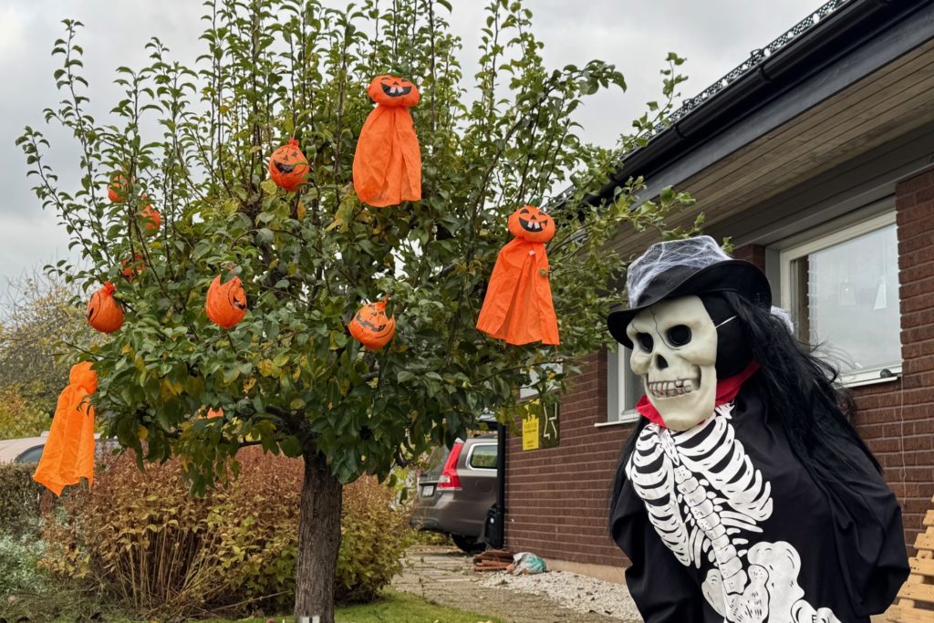 Träd utsmyckat med halloweenpynt