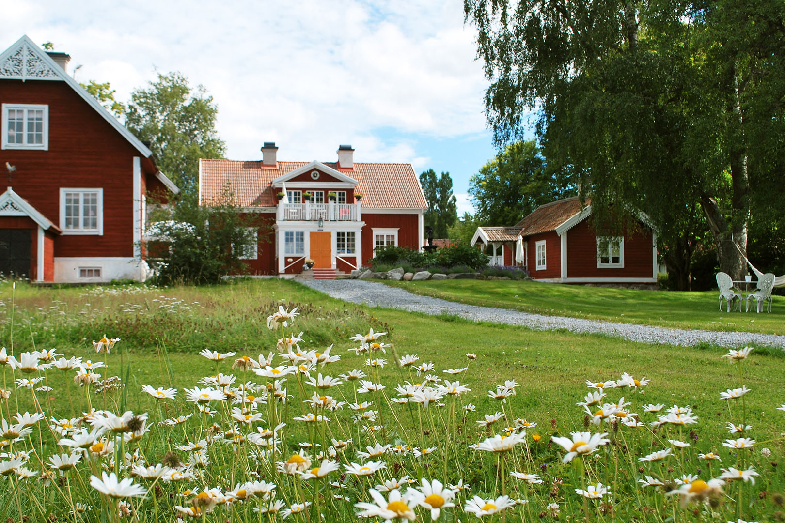 Exteriör bild på en lantlig gård med röda hus mitt i stan, i förgrunden en äng av prästkragar. Pressbild