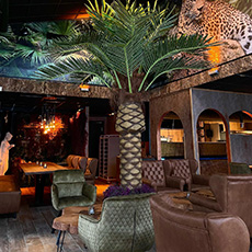 Interiör med loungmöbler och en stor palm i restaurangmiljö. Pressbild