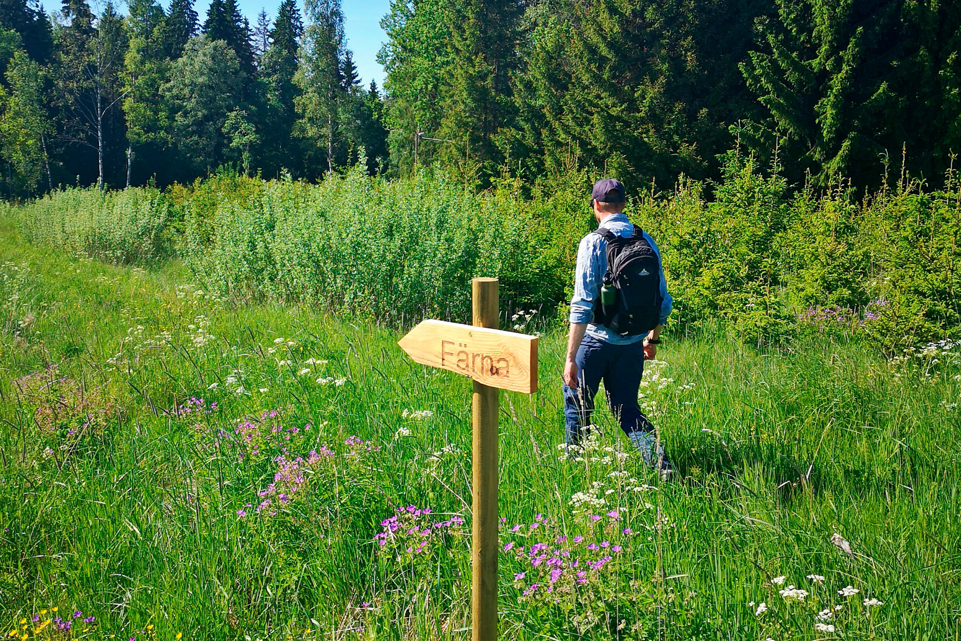 Han som vandrar i väg mot Färna Herrgård i skogsmiljö. Foto: Fredrik Lenovo.