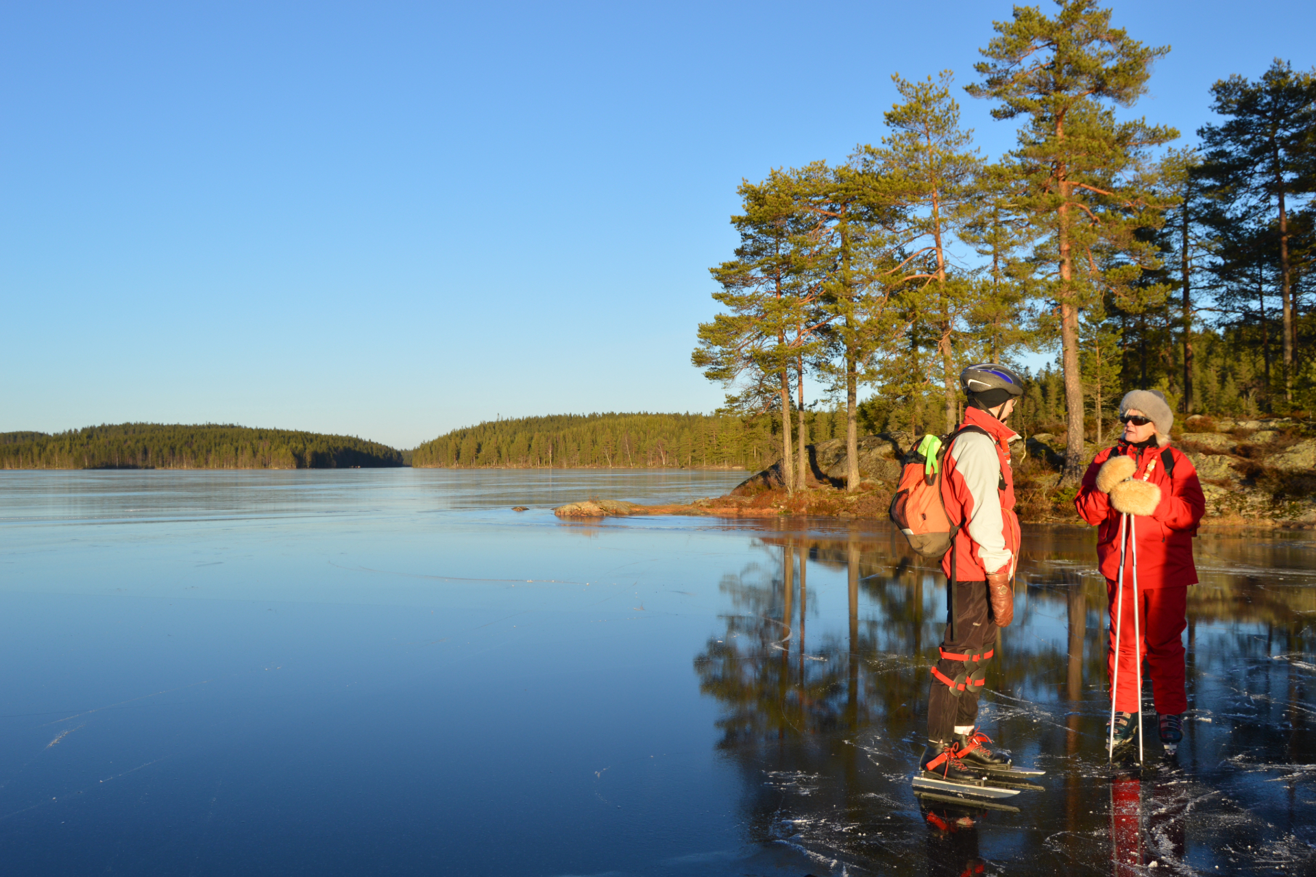 Par åker skridskor på naturis med skog i bakgrunden. Fotograf: Nordic Discovery