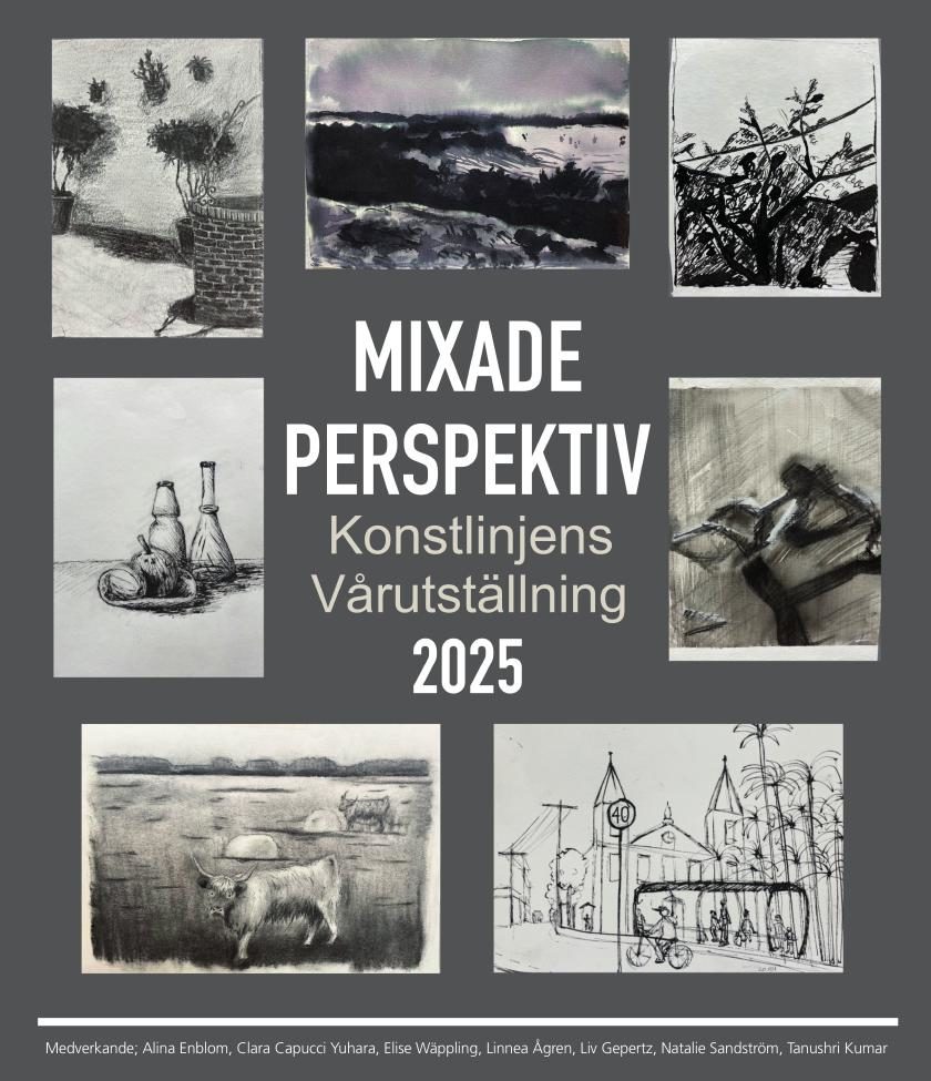 Pressbild för Mixade perspektiv av Konstlinjen Pressbild för Mixade perspektiv av Konstlinjen