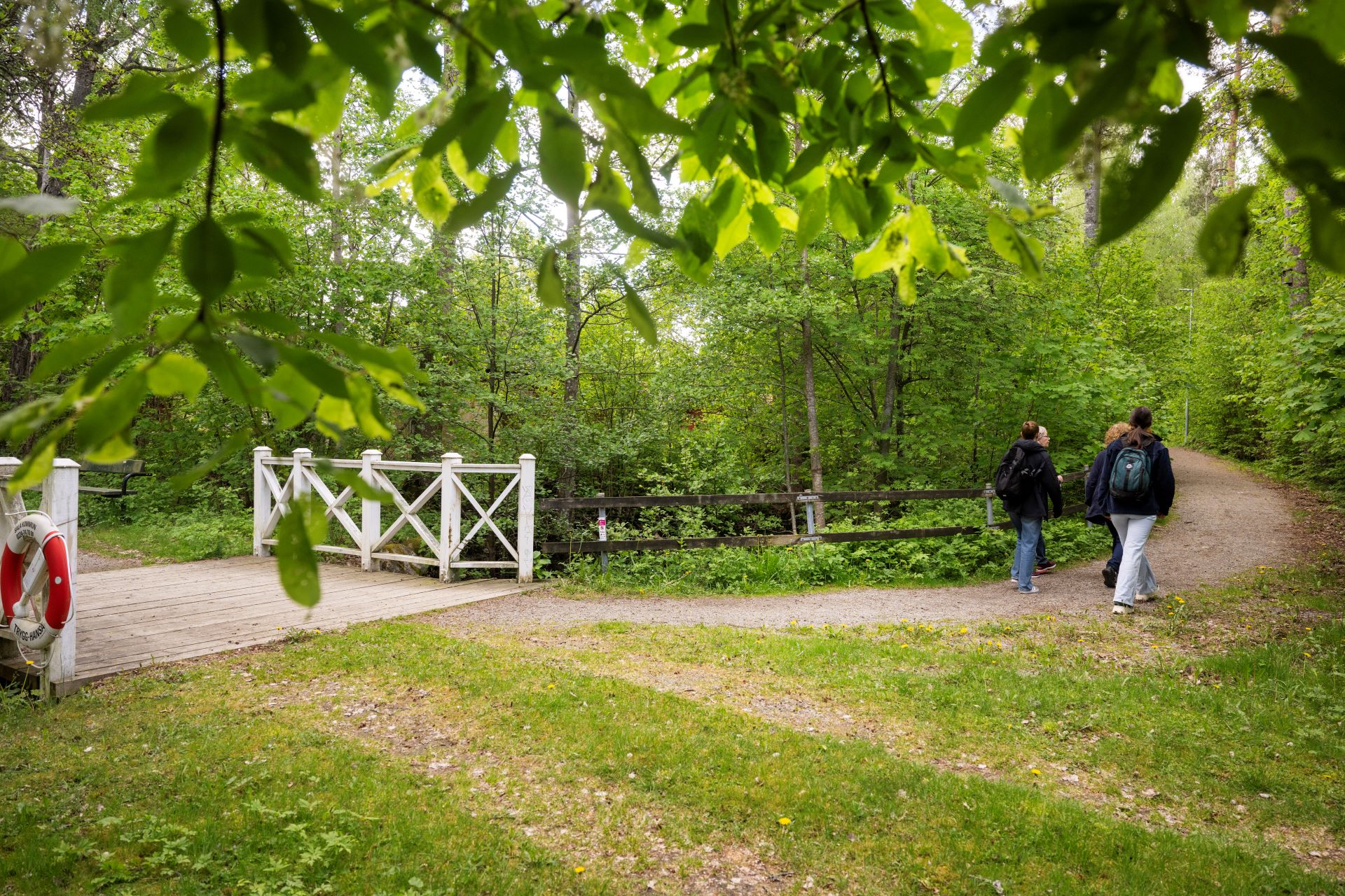 Tre personer promenerar längs en grönskande skogsstig vid en liten träbro.