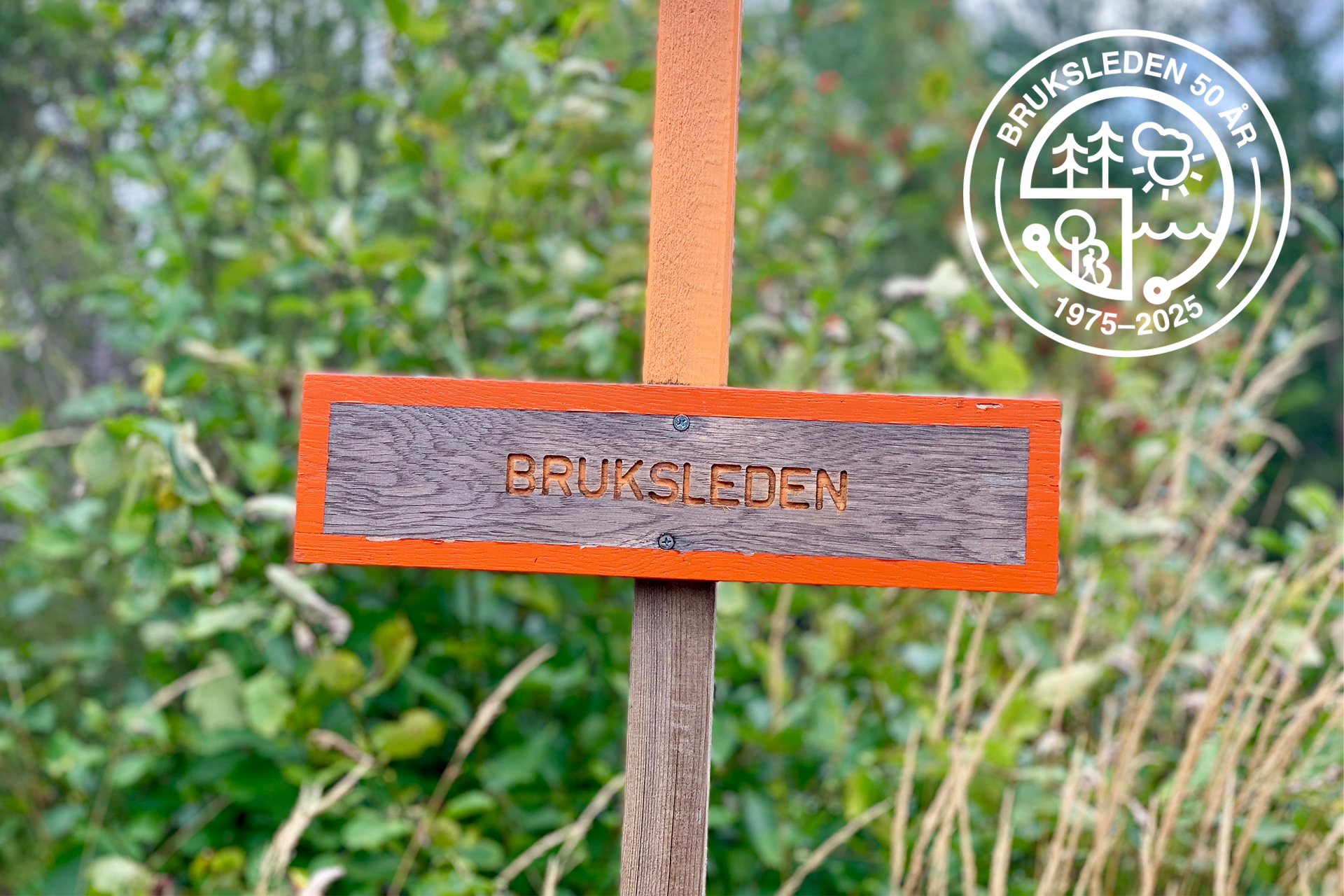 Trä skylt i skogen med orangetext - Bruksleden.