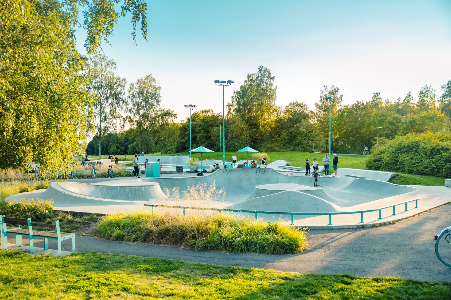 En somrig och grönskande bild på Löga Skatepark.